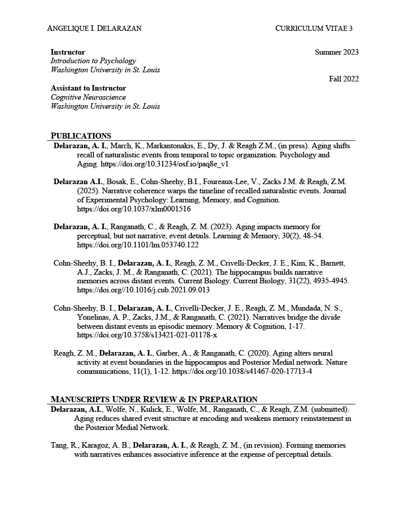 CV Page 3